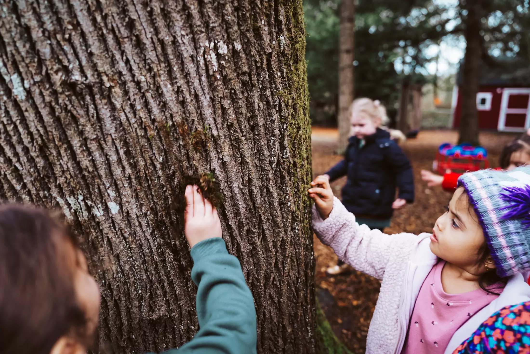 my-learning-treehouse-montessori-76-676f4aac8036d