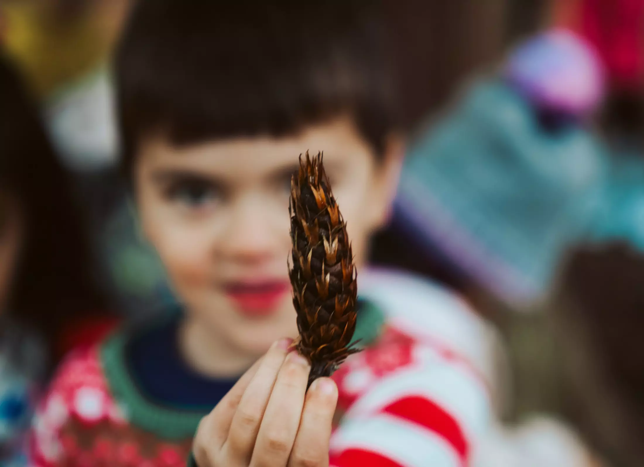 my-learning-treehouse-montessori-96-676f4aef48a20